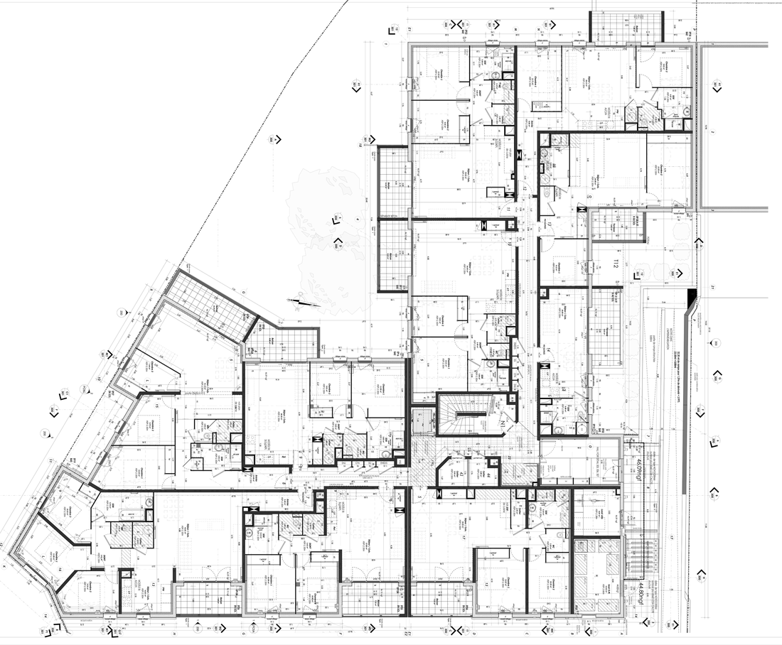 Plan d’étage de logements collectifs : distribution autour d’un palier, séjours prolongés par des balcons, arbre conservé.